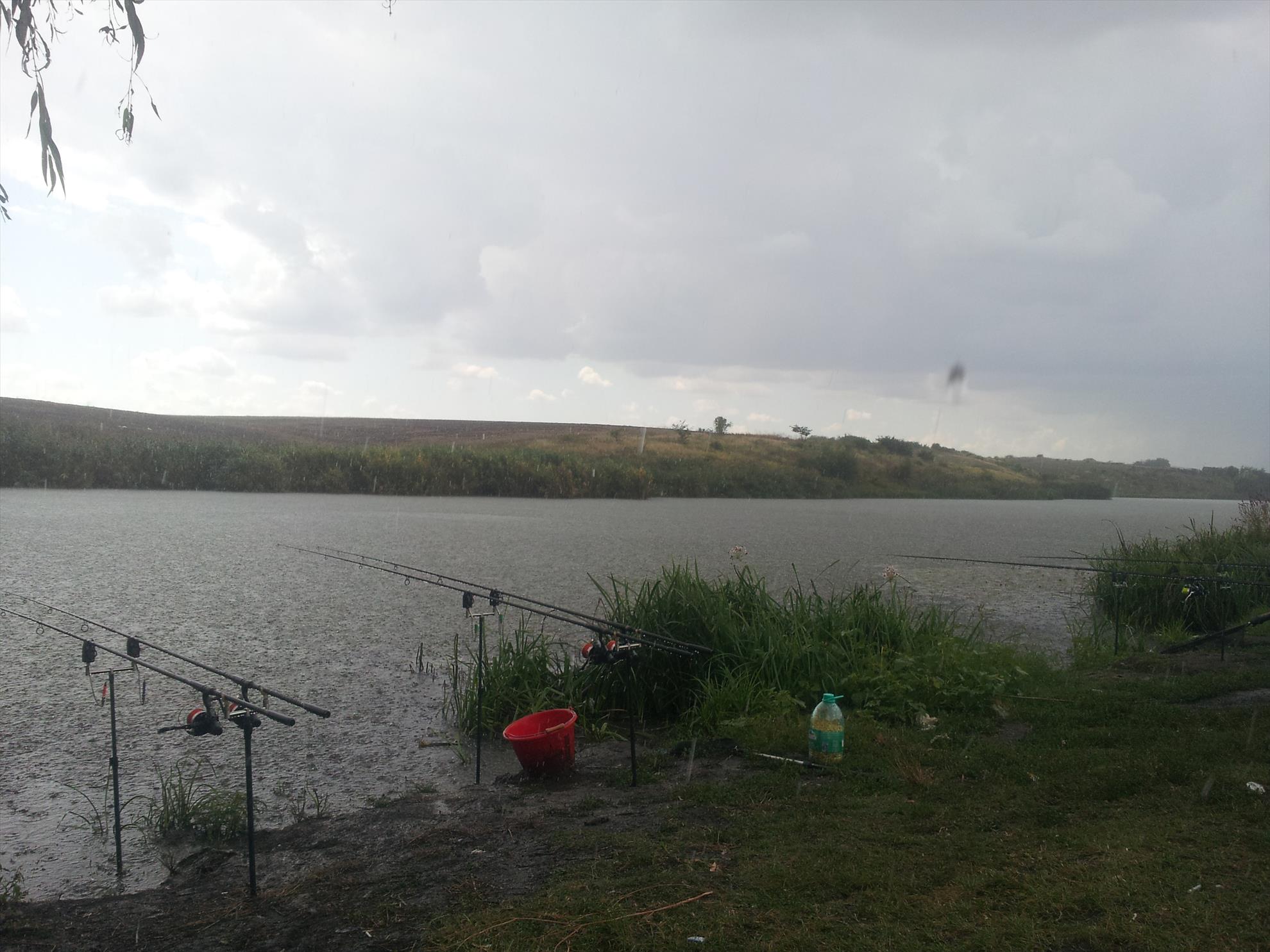 Walter Maracineanu - 20130831133952.jpg